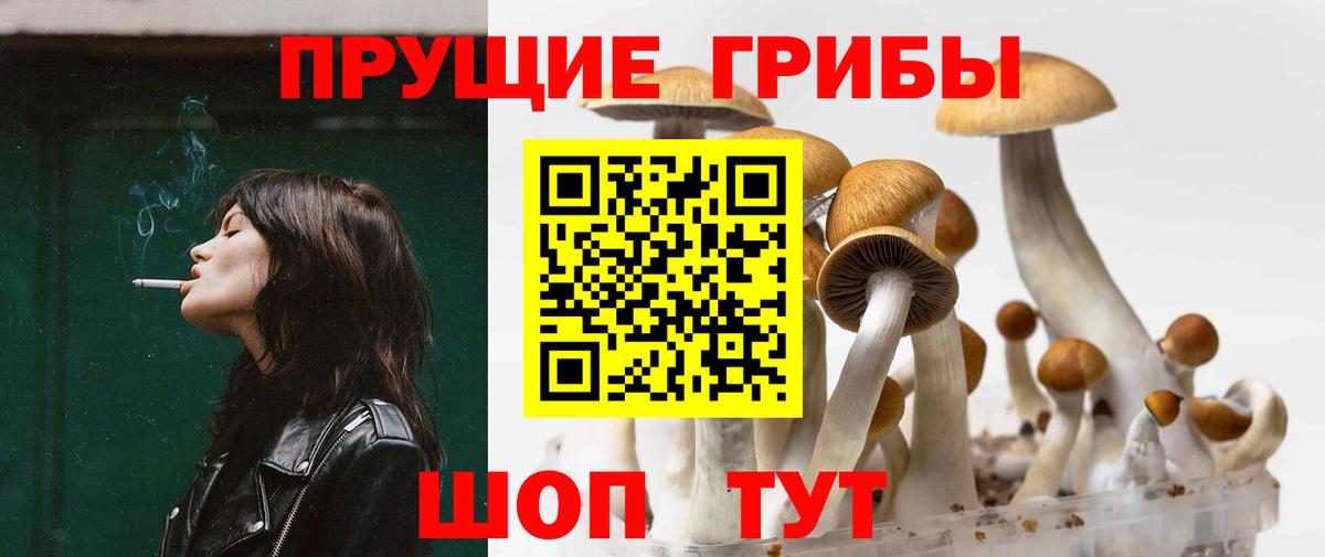 Галлюциногенные грибы прущие грибы  Псилоцибиновые грибы мицелий  Аксай  Вход с VPN 